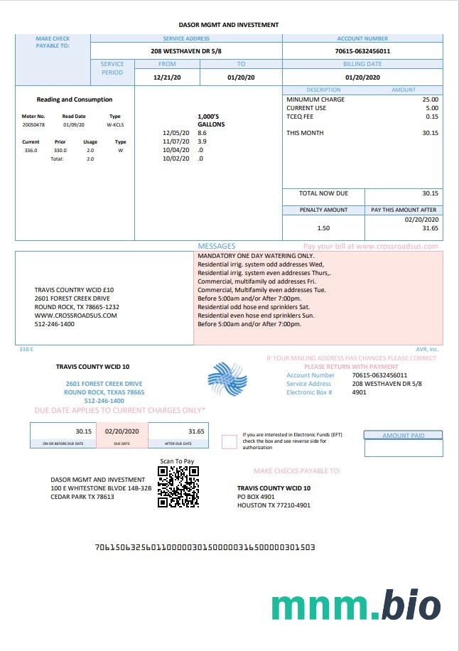 Szablon rachunku za zarządzanie i inwestycje w USA Texas Dasor w formacie Word ND PDF